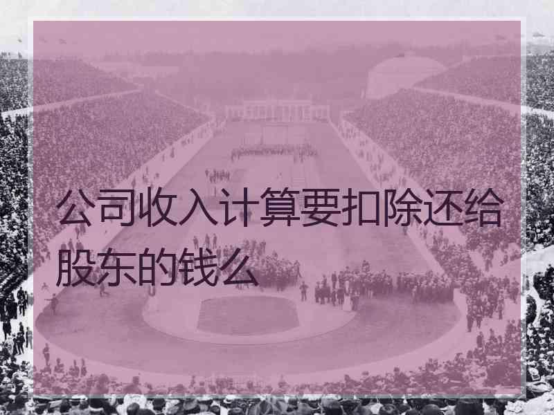 公司收入计算要扣除还给股东的钱么