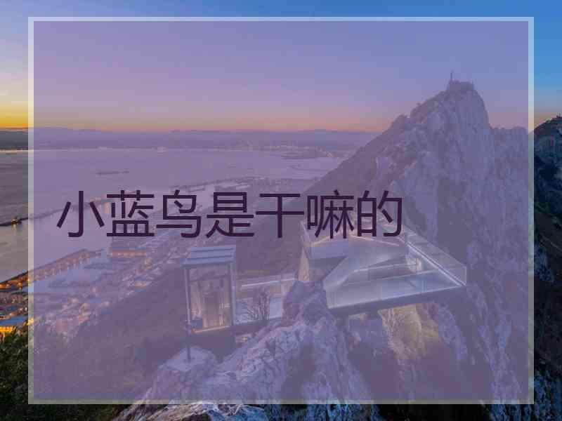 小蓝鸟是干嘛的