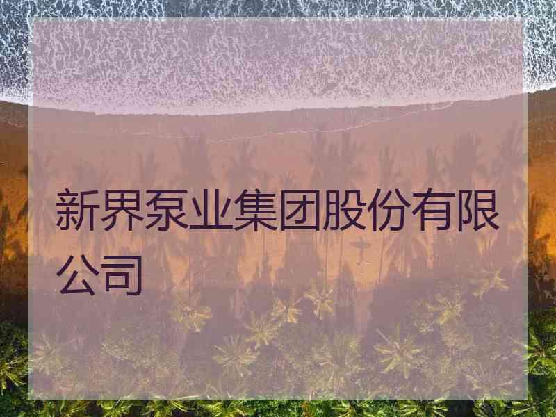 新界泵业集团股份有限公司