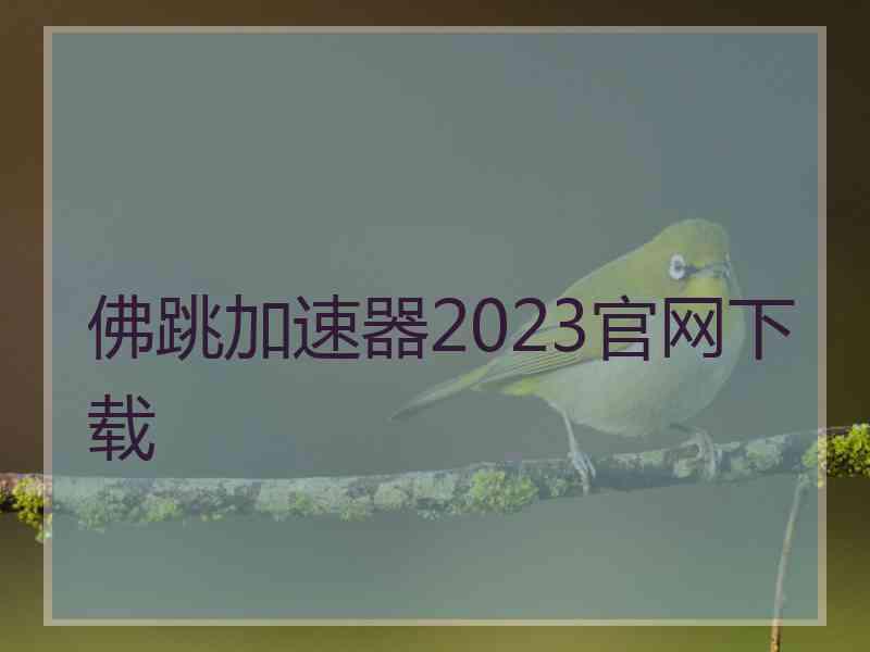 佛跳加速器2023官网下载