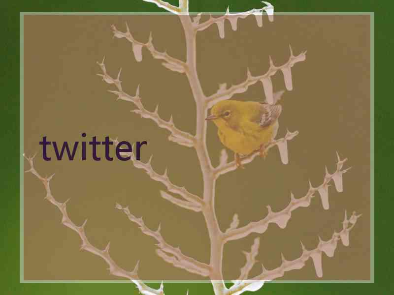 twitter