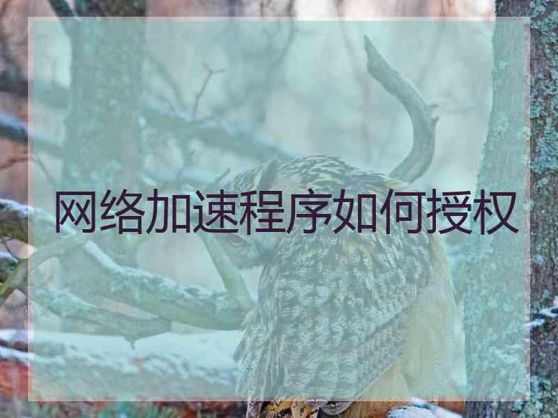 网络加速程序如何授权