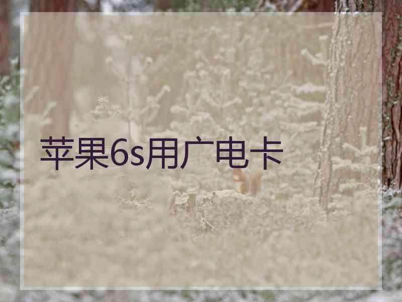 苹果6s用广电卡