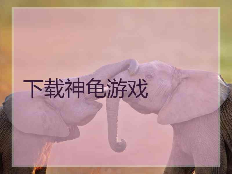 下载神龟游戏