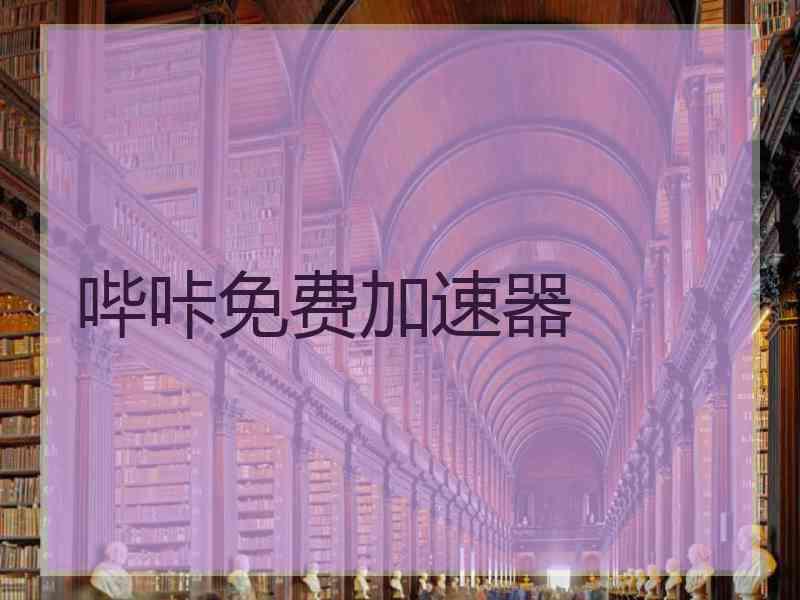 哔咔免费加速器