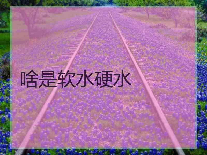 啥是软水硬水