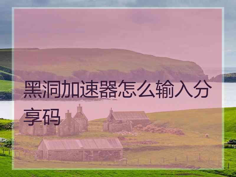 黑洞加速器怎么输入分享码