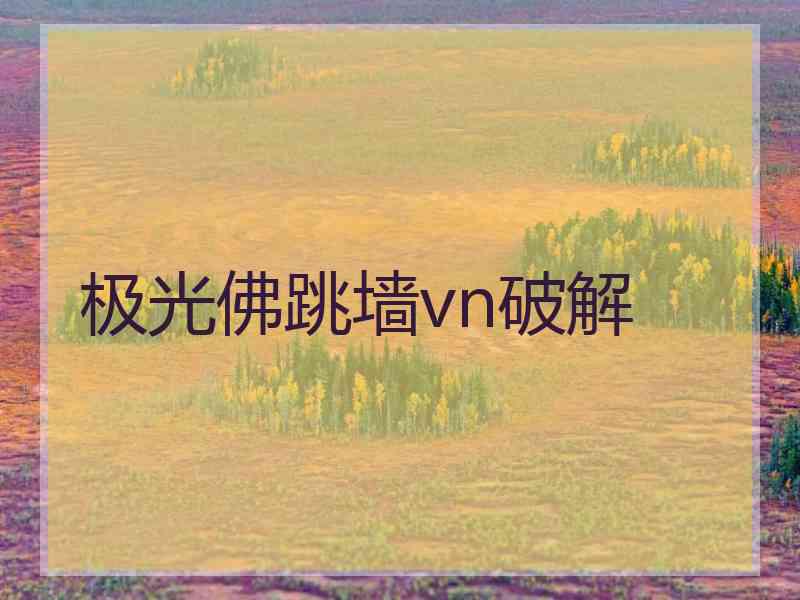 极光佛跳墙vn破解