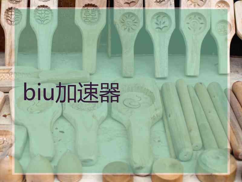 biu加速器