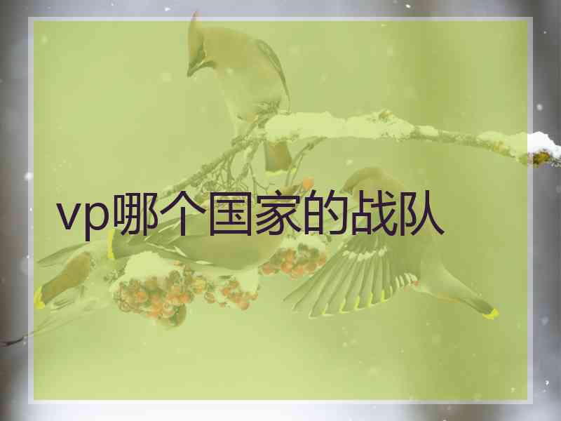 vp哪个国家的战队