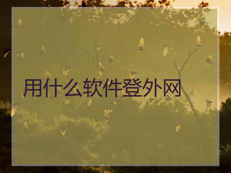 用什么软件登外网