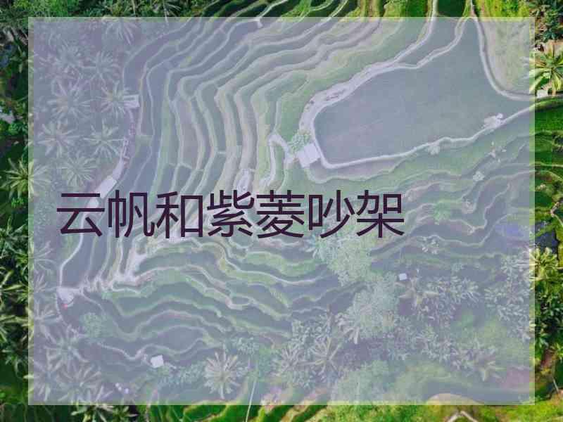 云帆和紫菱吵架