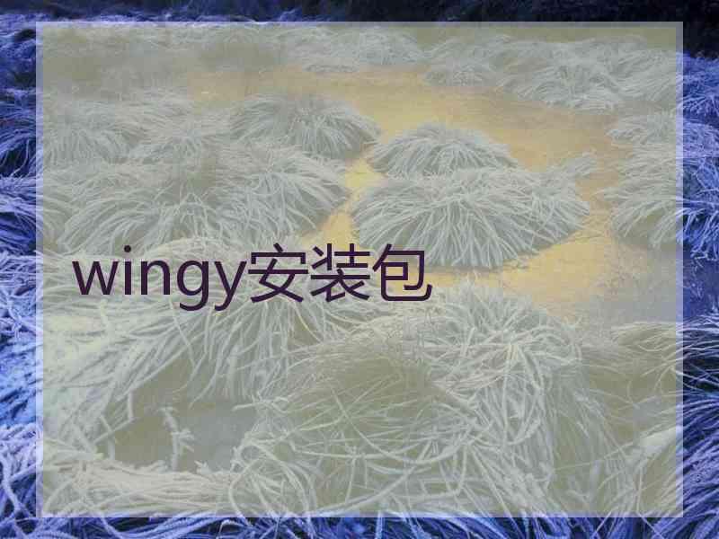 wingy安装包