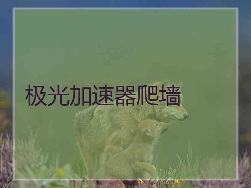 极光加速器爬墙