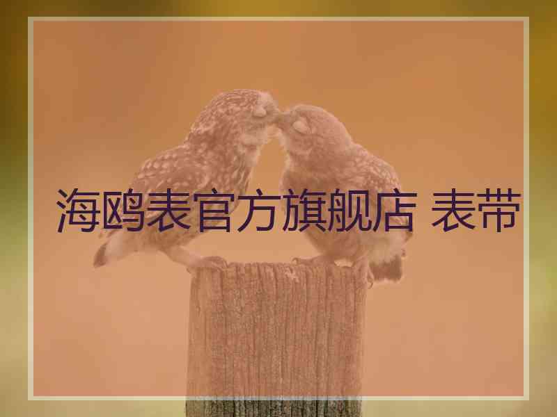 海鸥表官方旗舰店 表带