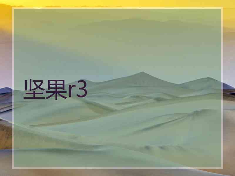 坚果r3