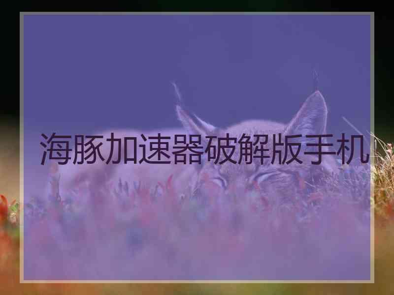 海豚加速器破解版手机