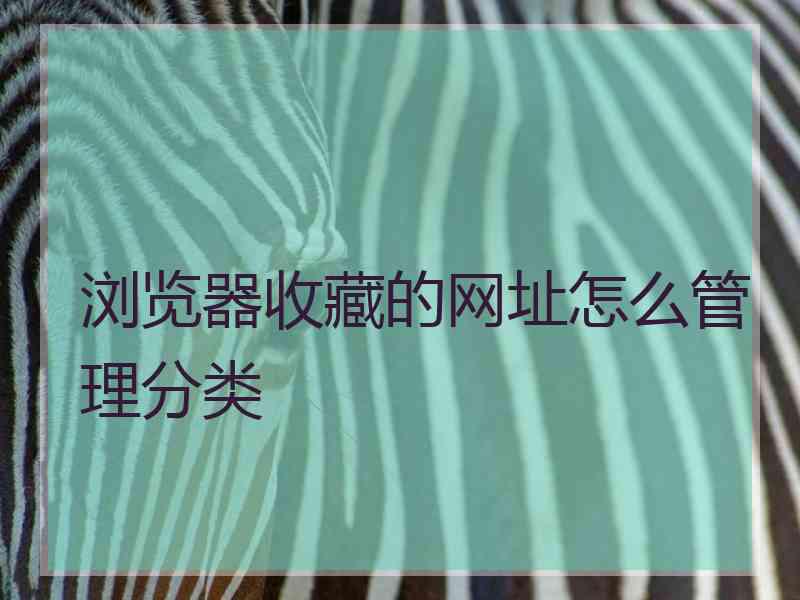 浏览器收藏的网址怎么管理分类