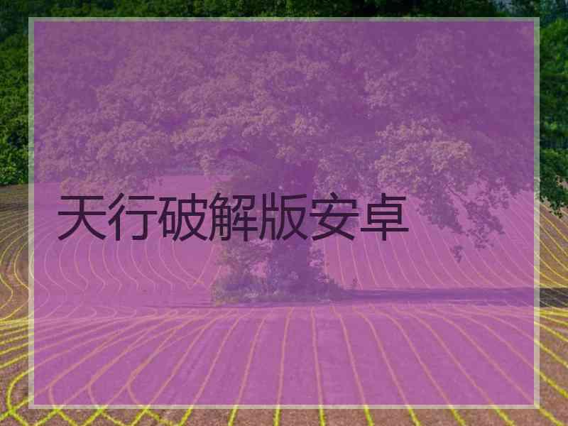 天行破解版安卓