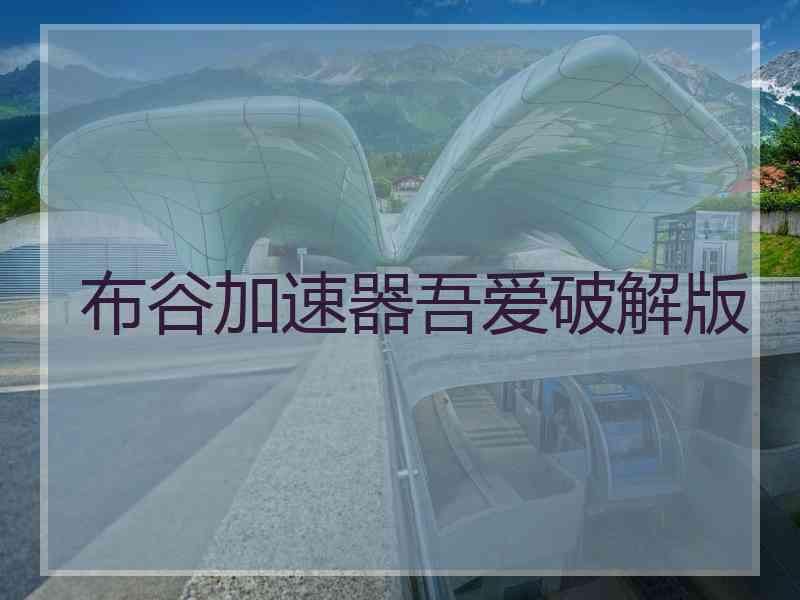 布谷加速器吾爱破解版