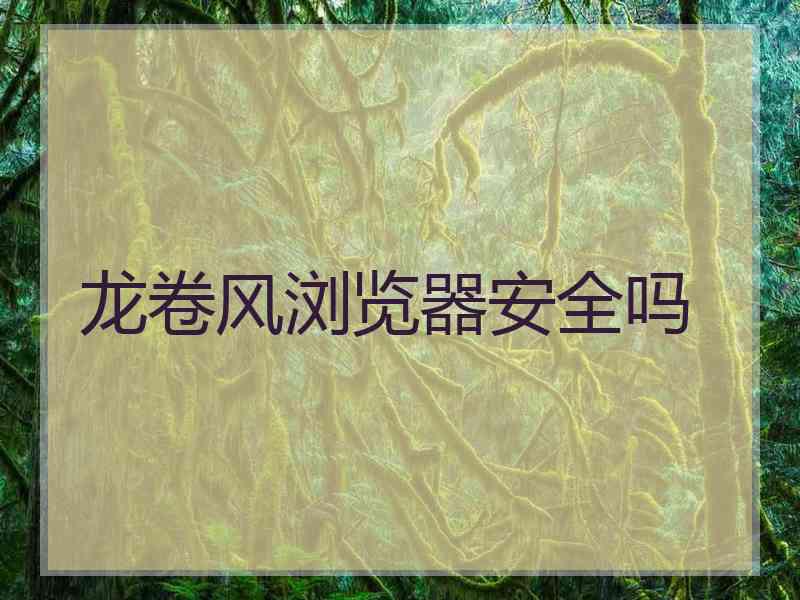 龙卷风浏览器安全吗