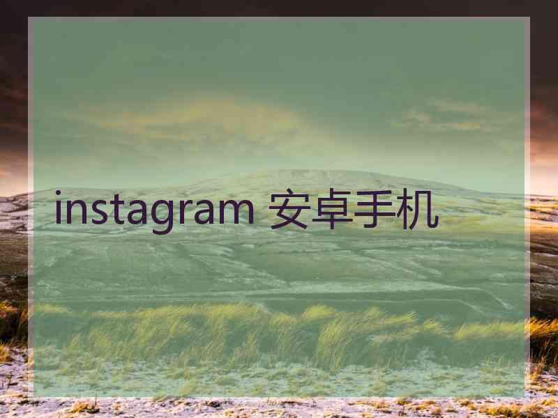 instagram 安卓手机