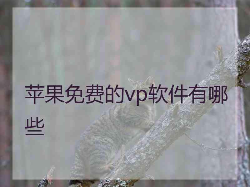 苹果免费的vp软件有哪些