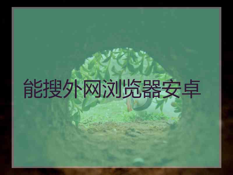能搜外网浏览器安卓