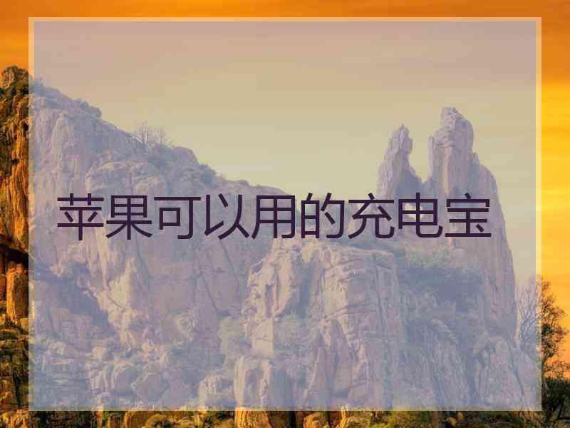 苹果可以用的充电宝