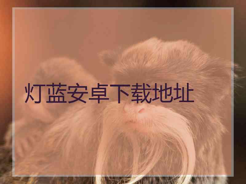 灯蓝安卓下载地址