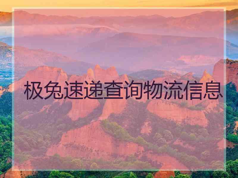 极兔速递查询物流信息