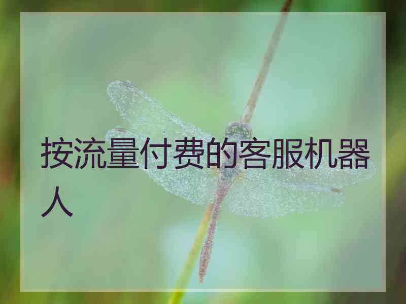按流量付费的客服机器人