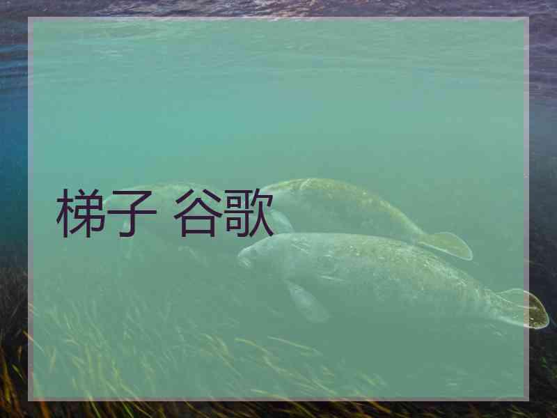 梯子 谷歌