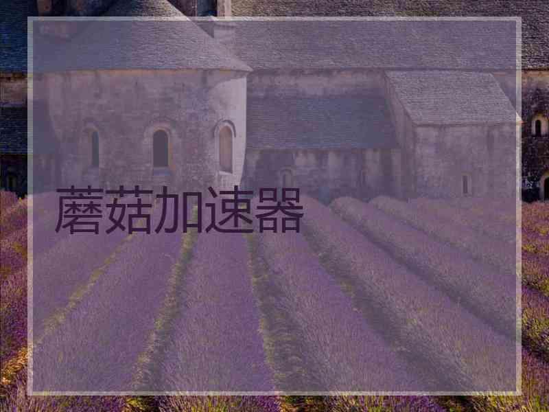 蘑菇加速器