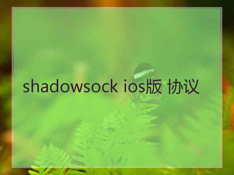 shadowsock ios版 协议