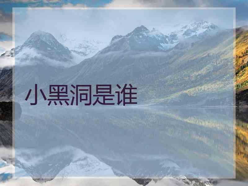 小黑洞是谁