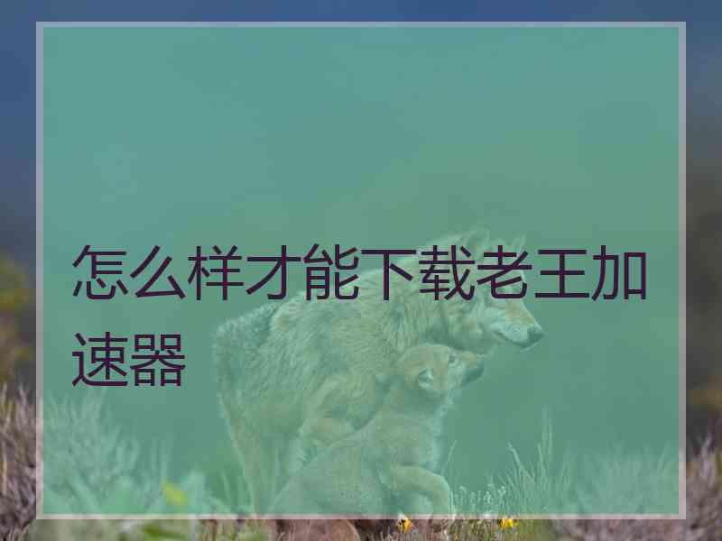 怎么样才能下载老王加速器