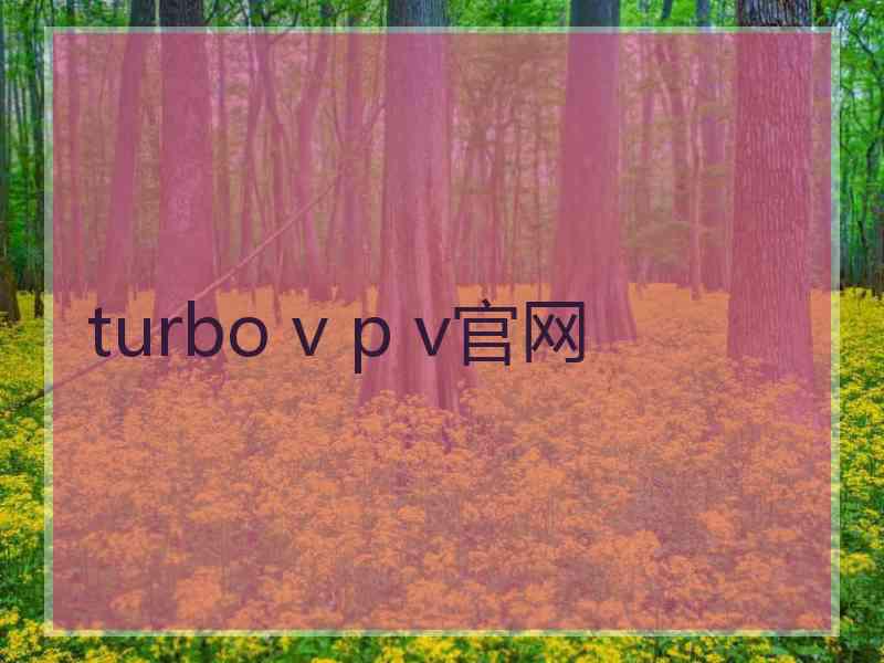 turbo v p v官网