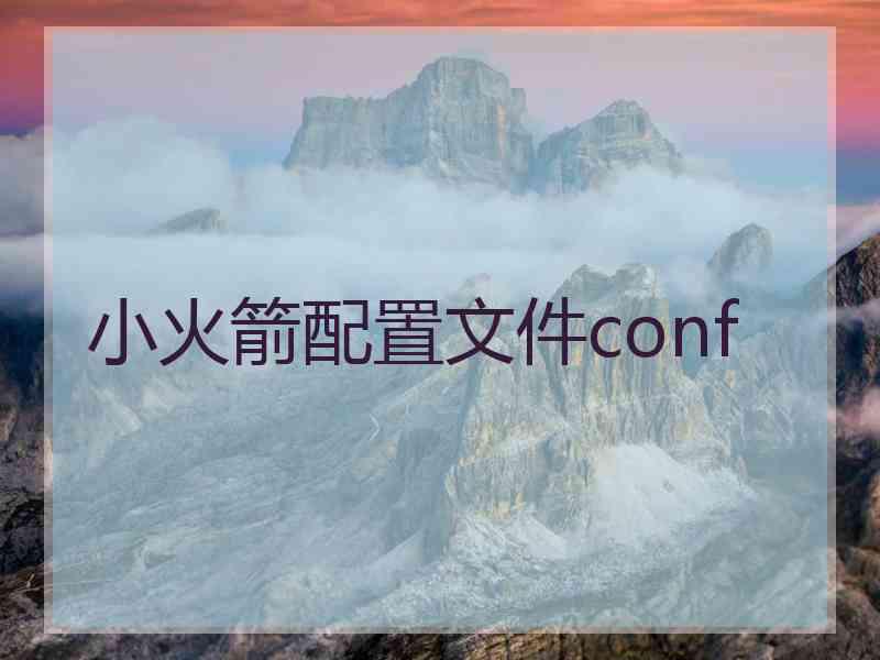 小火箭配置文件conf