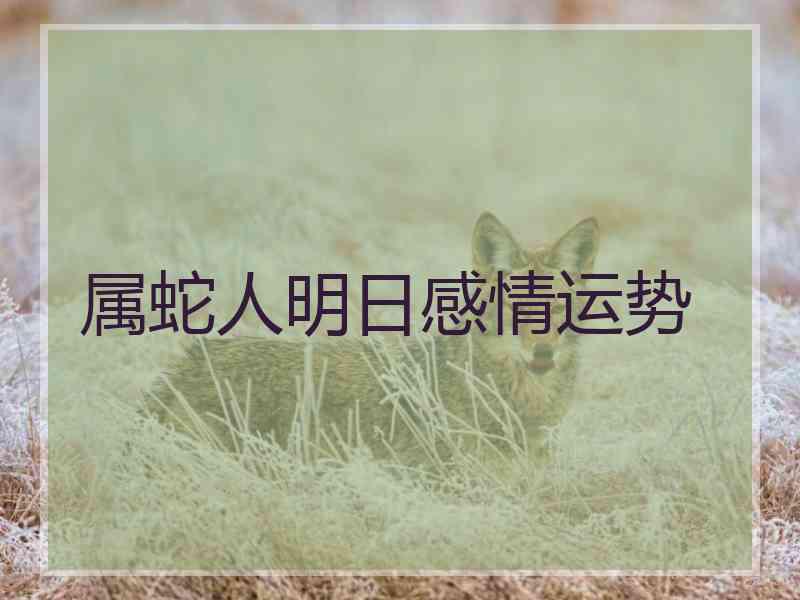 属蛇人明日感情运势