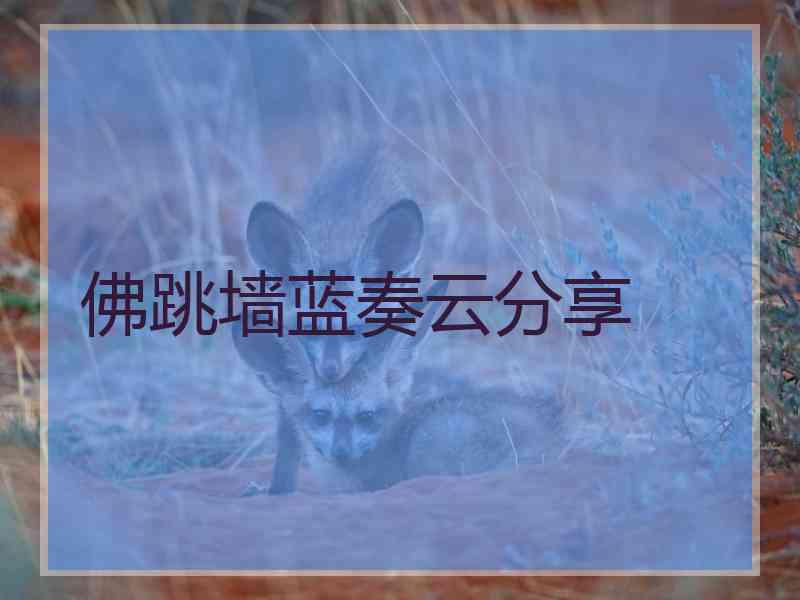 佛跳墙蓝奏云分享