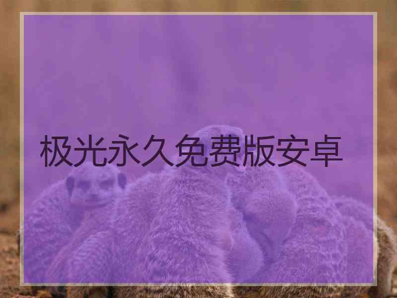 极光永久免费版安卓