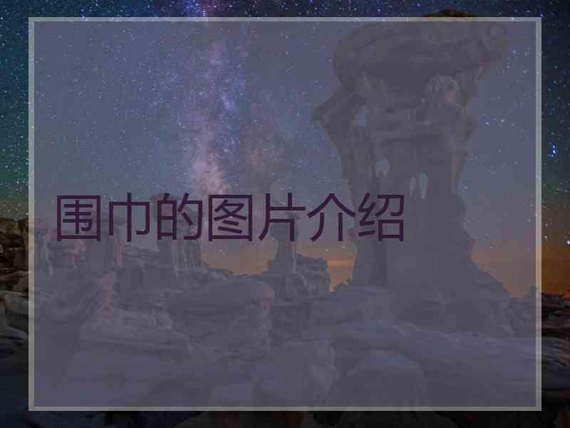 围巾的图片介绍