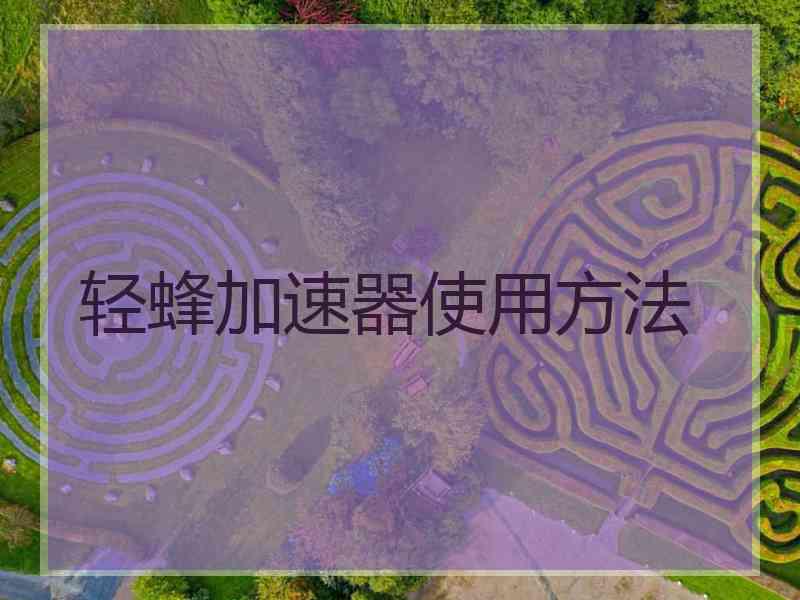 轻蜂加速器使用方法