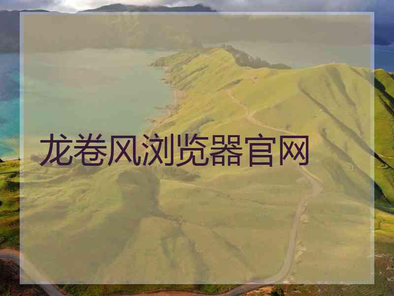 龙卷风浏览器官网