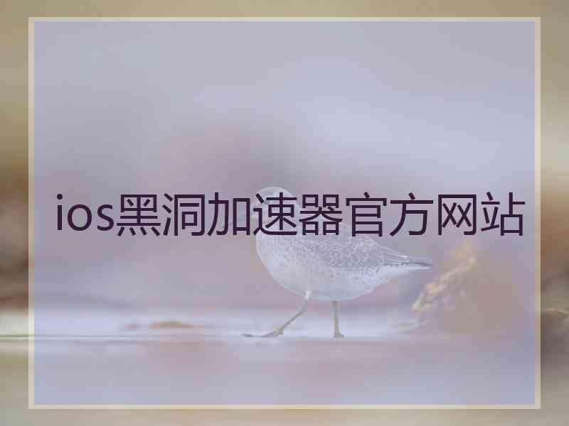ios黑洞加速器官方网站