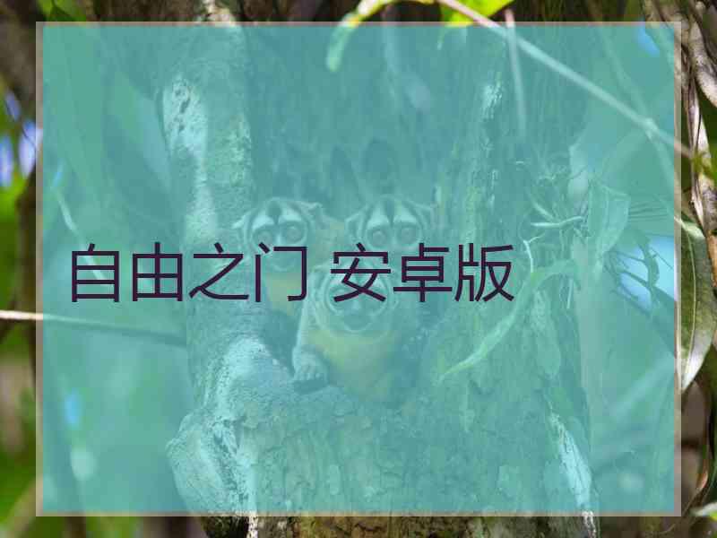 自由之门 安卓版