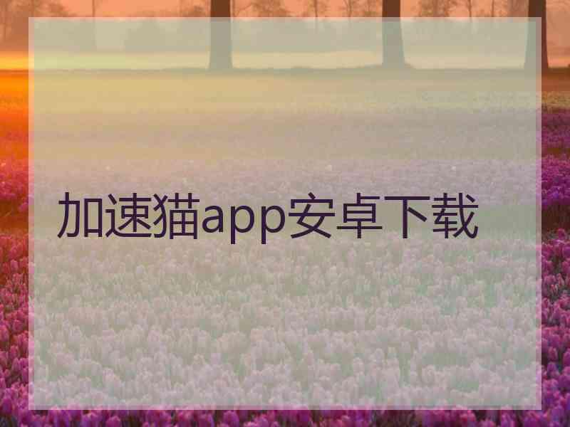 加速猫app安卓下载