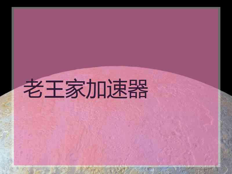 老王家加速器