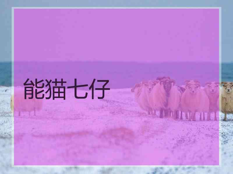 能猫七仔